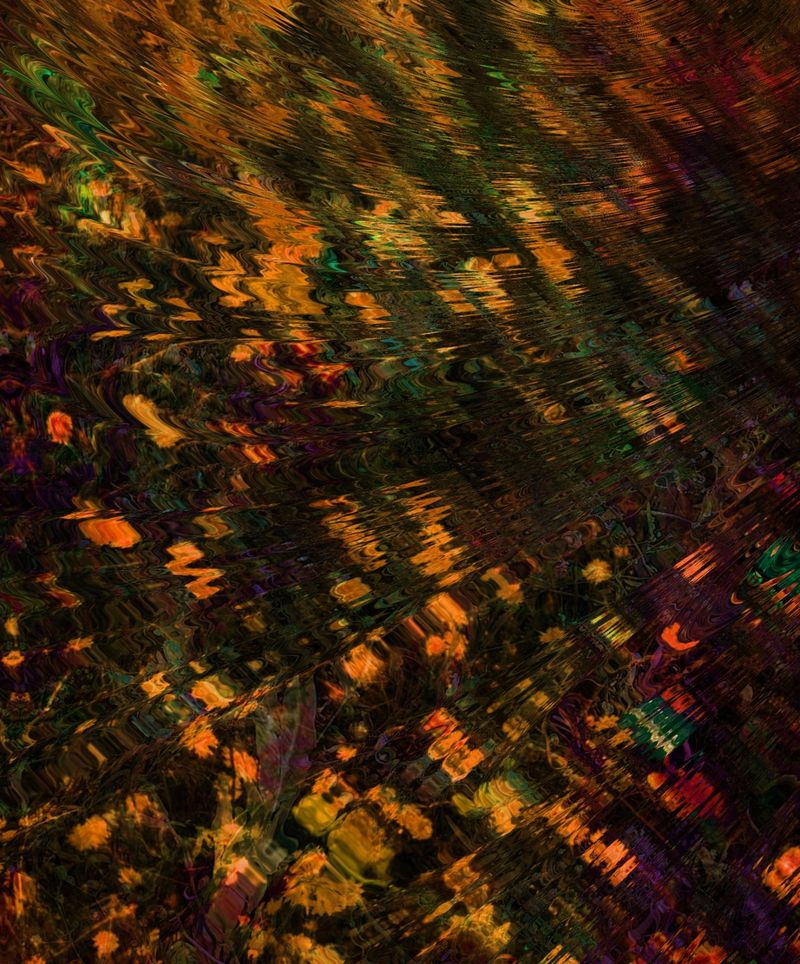 © Andrea Hajtmánková - Image from the Miraculous Nature photography project