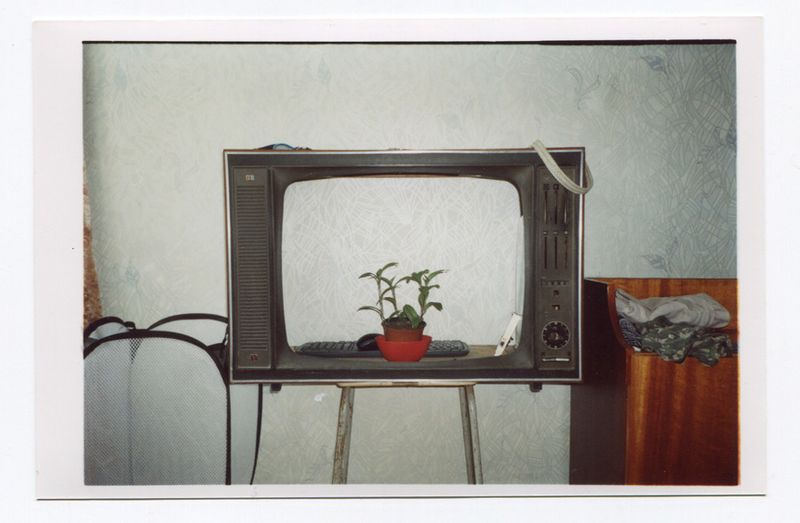 © Gennadiy Chernega - Image from the Stray Dog photography project