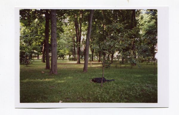 © Gennadiy Chernega - Image from the Stray Dog photography project