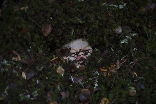 © Maria Konstanse Bruun - Image from the ALL HOPE IS LOST IN NATURE photography project