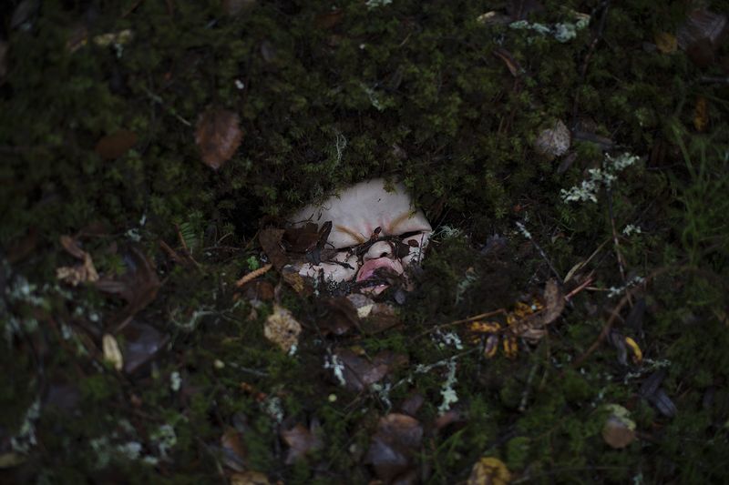 © Maria Konstanse Bruun - Image from the ALL HOPE IS LOST IN NATURE photography project