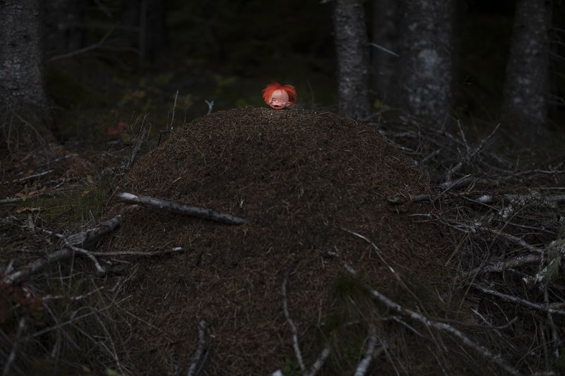 © Maria Konstanse Bruun - Image from the ALL HOPE IS LOST IN NATURE photography project