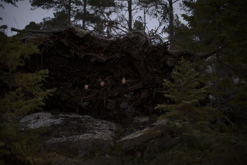 © Maria Konstanse Bruun - Image from the ALL HOPE IS LOST IN NATURE photography project