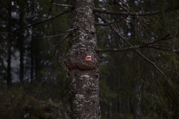 © Maria Konstanse Bruun - Image from the ALL HOPE IS LOST IN NATURE photography project