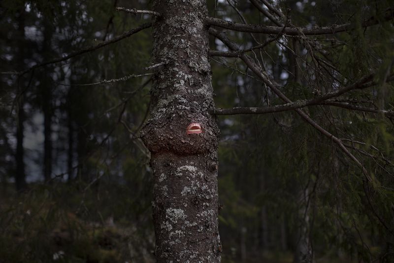 © Maria Konstanse Bruun - Image from the ALL HOPE IS LOST IN NATURE photography project
