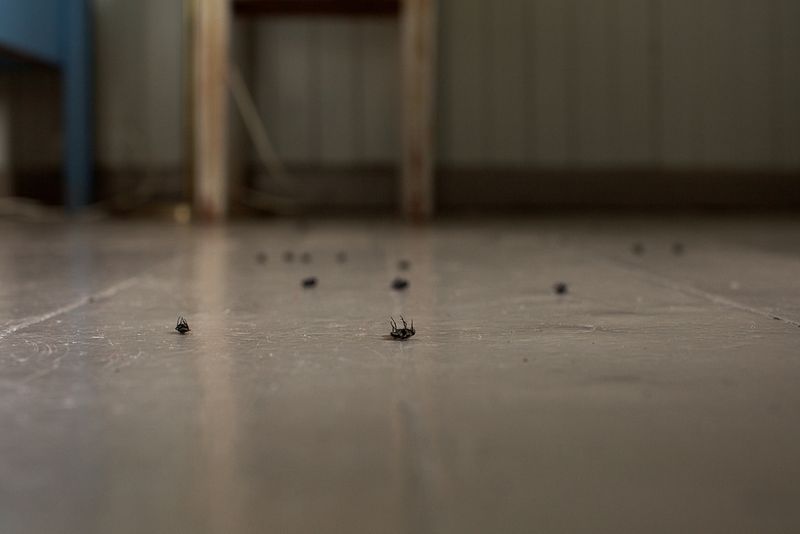 © Maria Konstanse Bruun - Image from the Then and in between now photography project