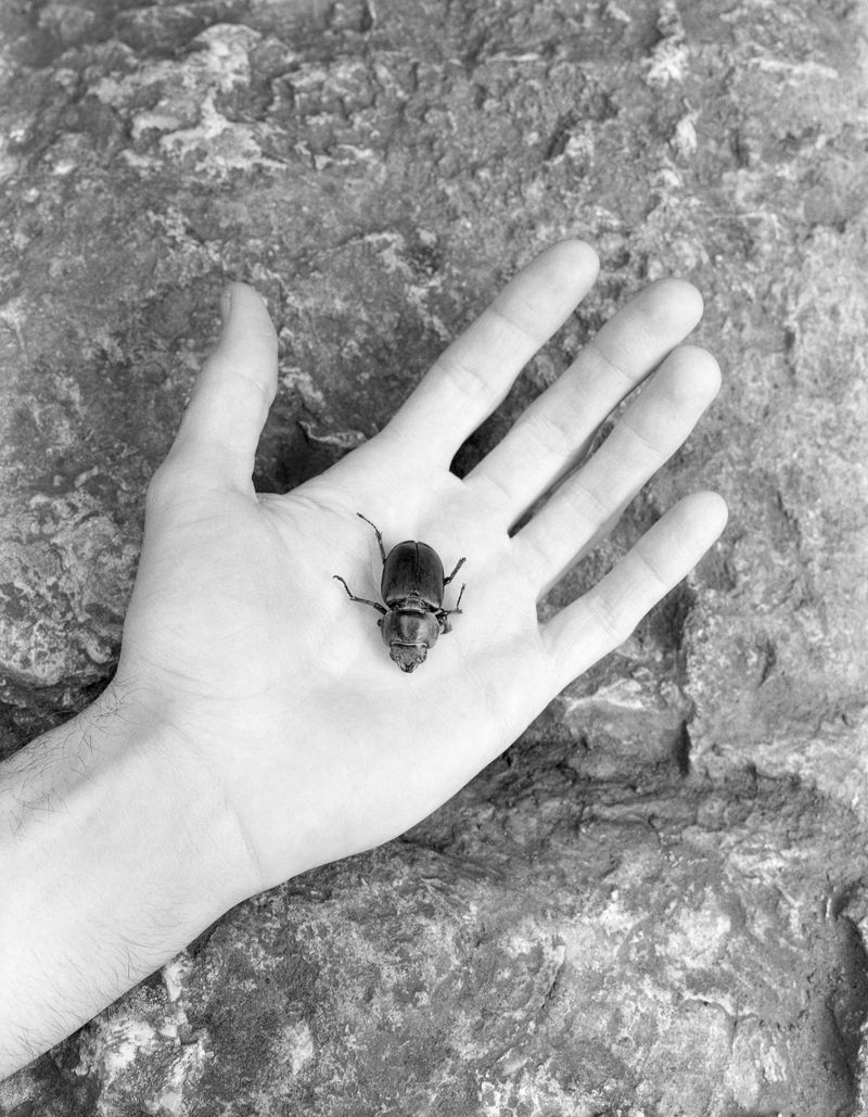 © Cinzia Romanin - Image from the TRANSCENDENCE photography project