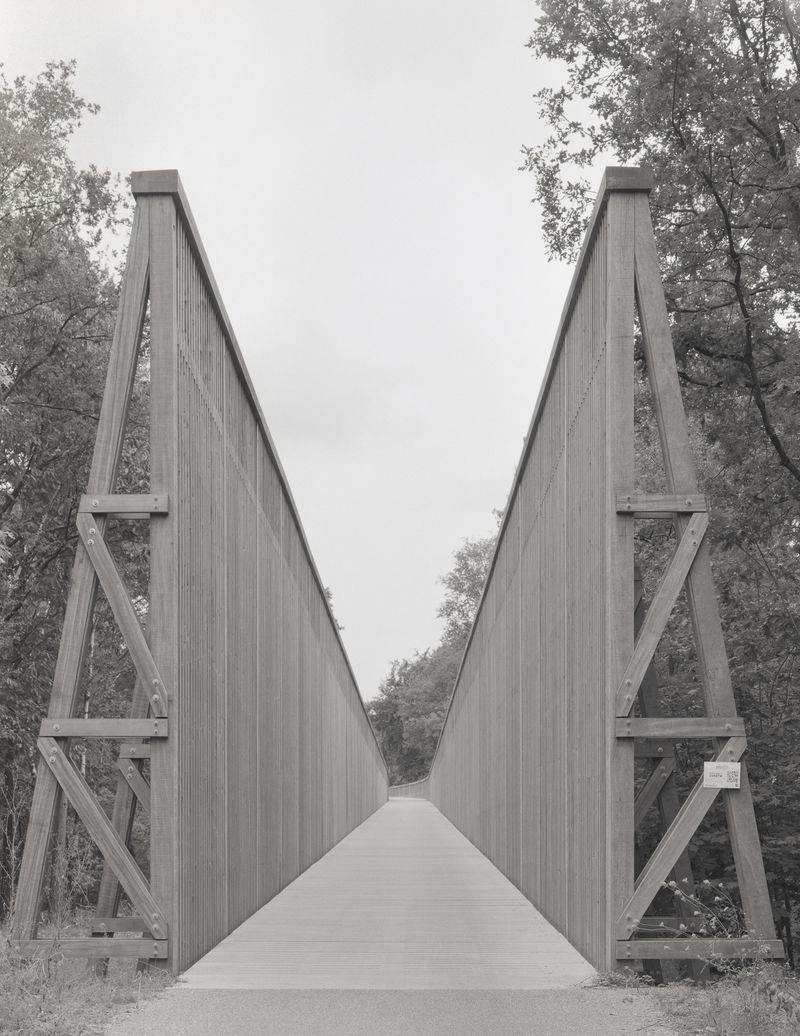 © Cinzia Romanin - Transition to alternative futures / Transizione verso futuri alternativi