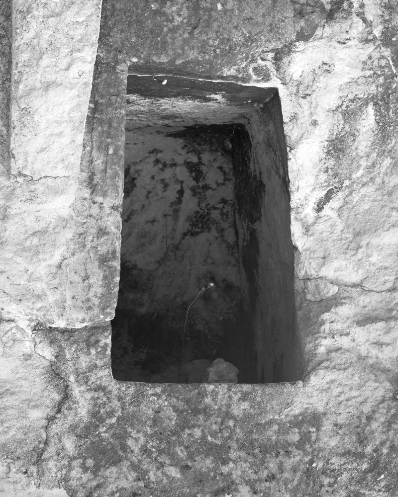 © David Steinberg - Image from the Ouroboros photography project