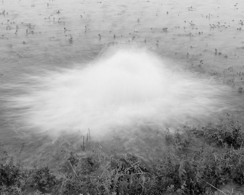 © David Steinberg - Image from the Ouroboros photography project