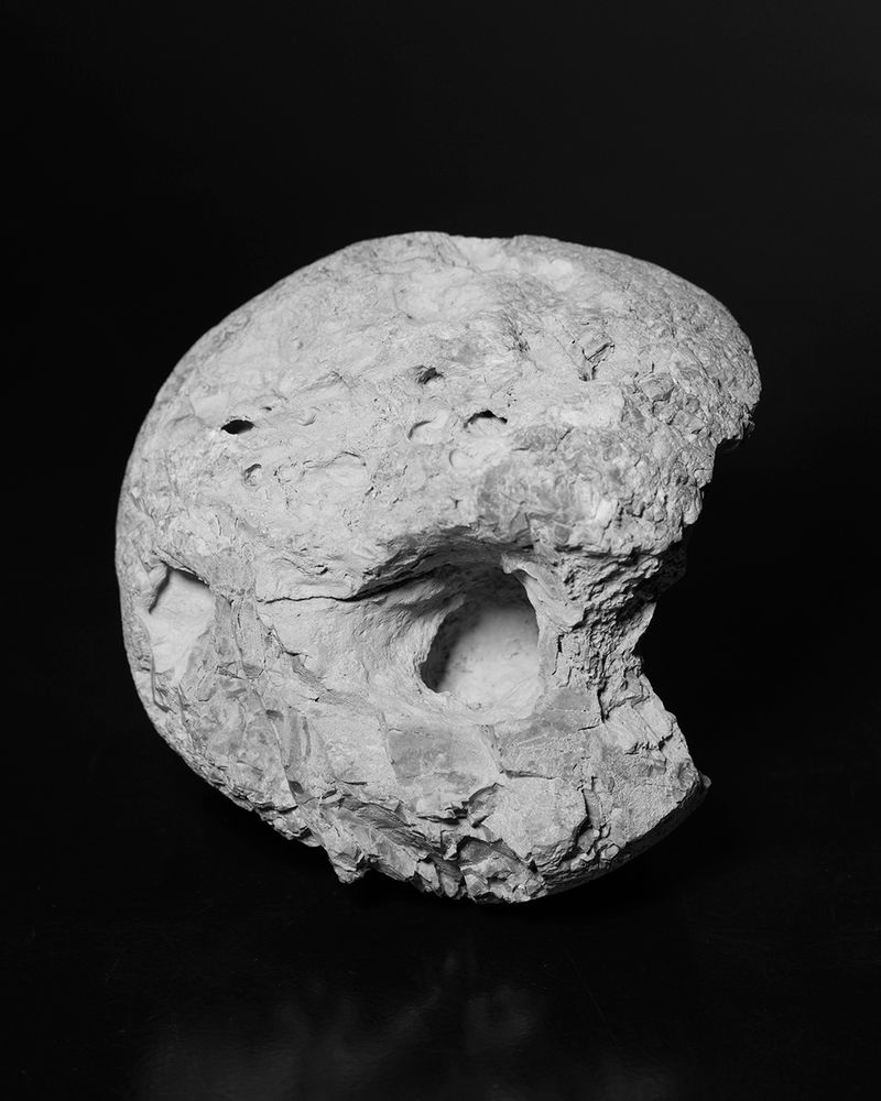 © David Steinberg - Image from the Ouroboros photography project