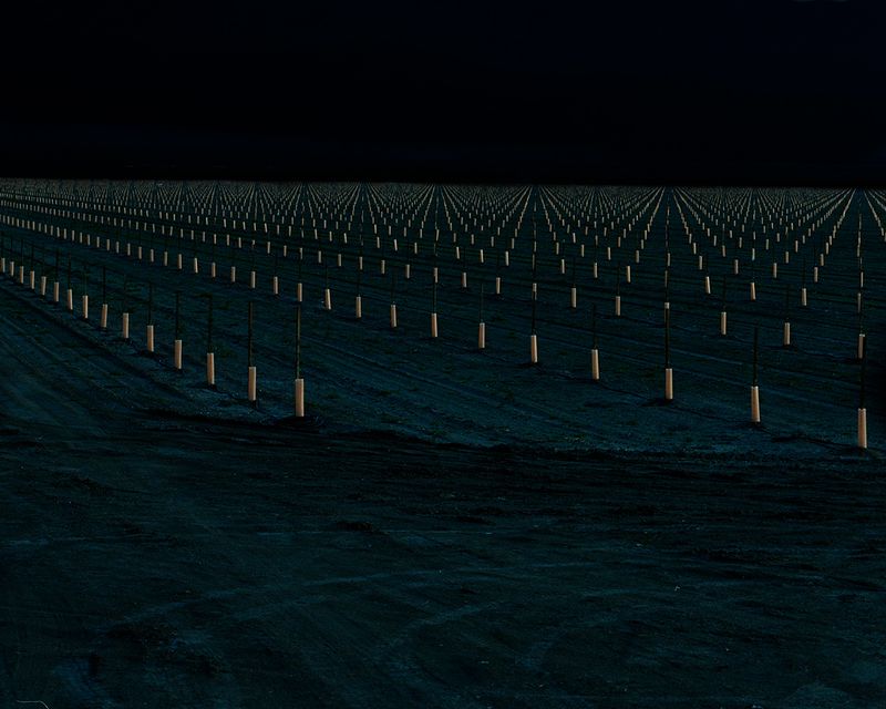 © David Steinberg - Image from the Ouroboros photography project