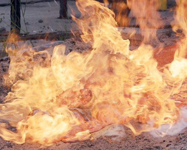 © David Steinberg - Image from the Ouroboros photography project