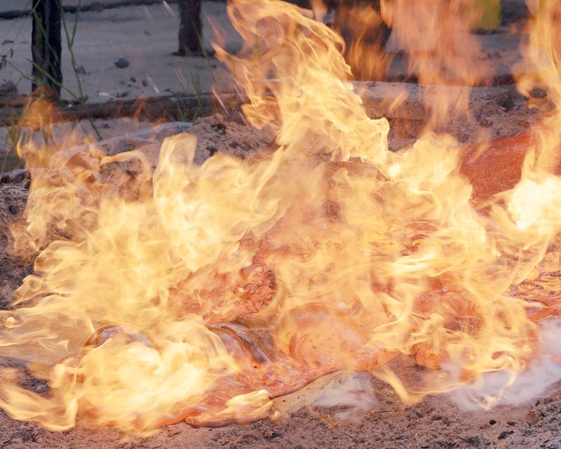 © David Steinberg - Image from the Ouroboros photography project