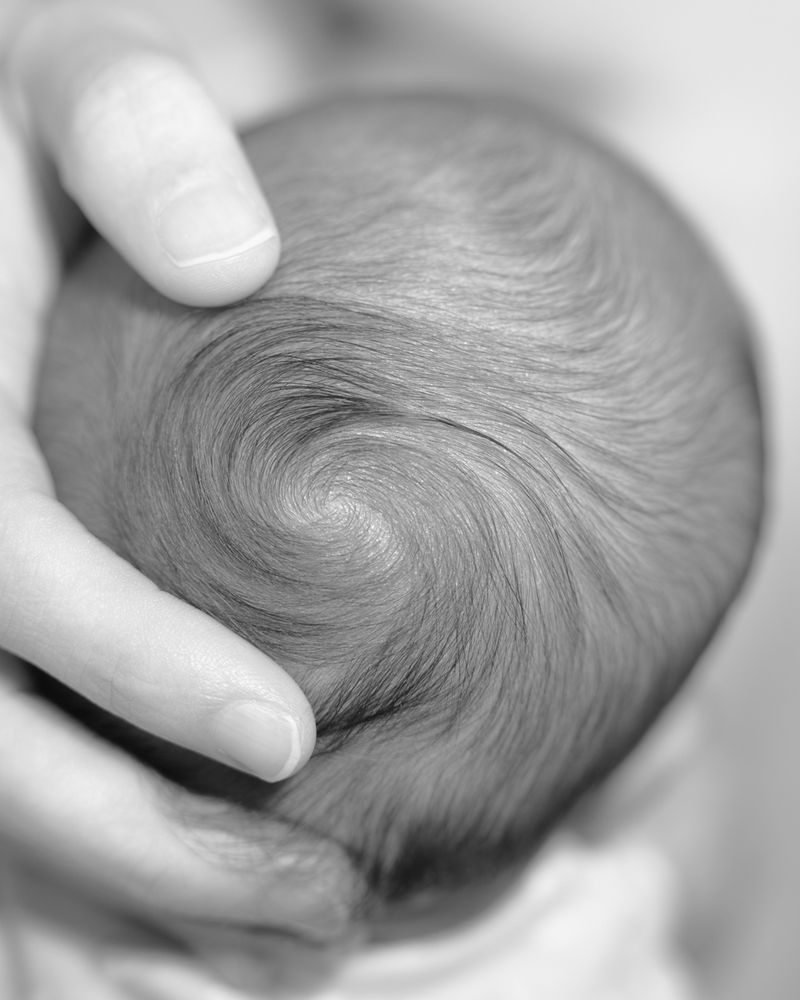 © David Steinberg - Image from the Ouroboros photography project