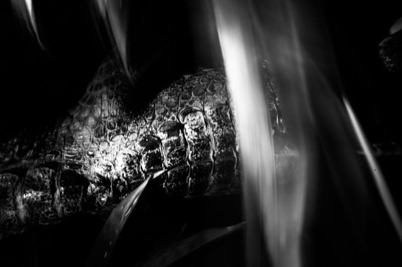 © Gonzalo Pardo - El grito de los perdidos (2018)