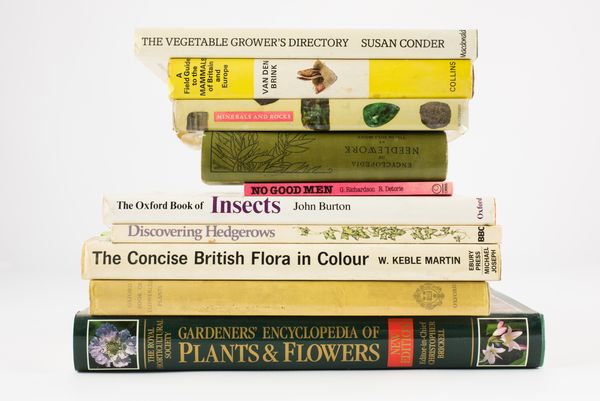 © Wendy Aldiss - My father's Things