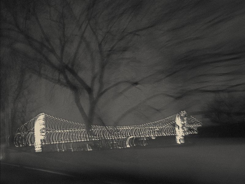 © Vaune Trachtman - Artery