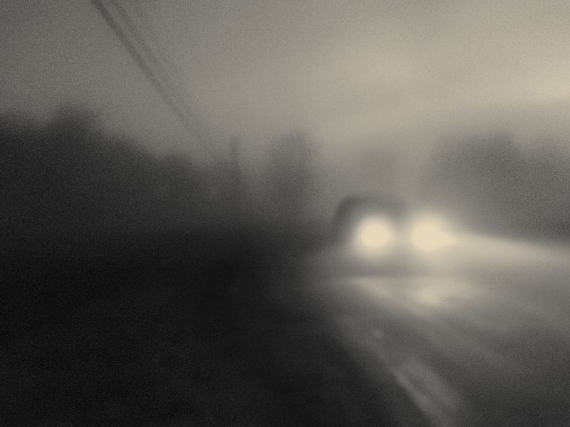 © Vaune Trachtman - Dirt Road