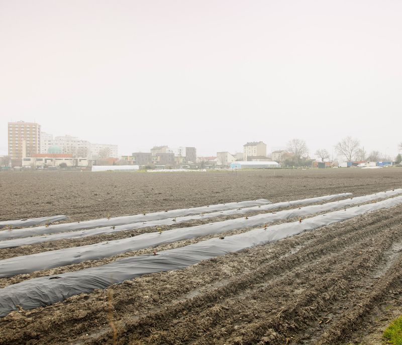 © Henrike Stahl - Champ Rue Eaubonne St Denis 100x140 cm lambda print limited edition of 5 + 2 AP