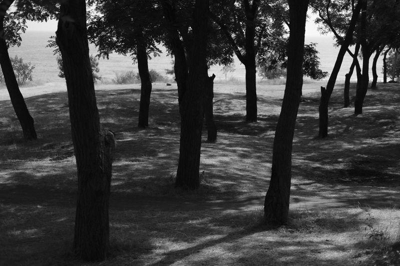 © Roma Moskalenko - Image from the OEA photography project