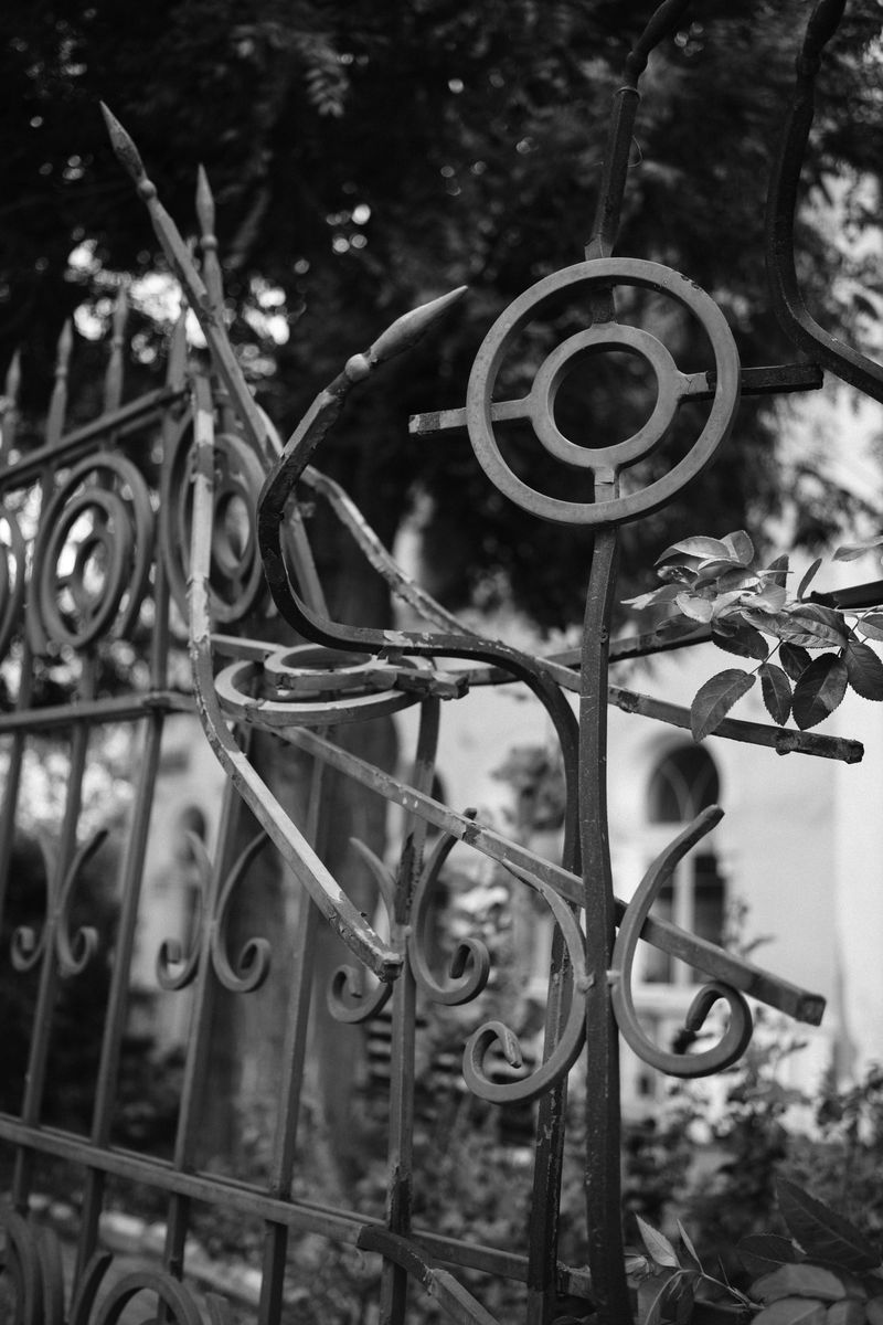 © Roma Moskalenko - Image from the OEA photography project