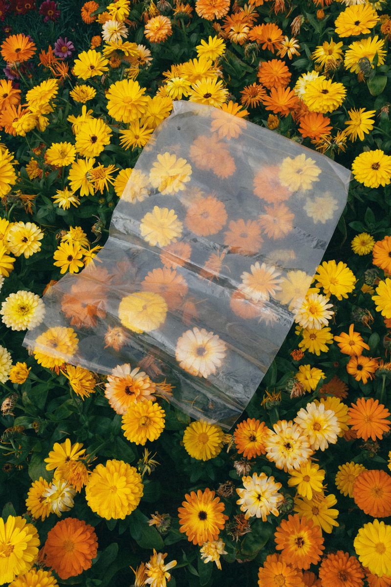 © Elo Vazquez - Image from the Nine Waves photography project