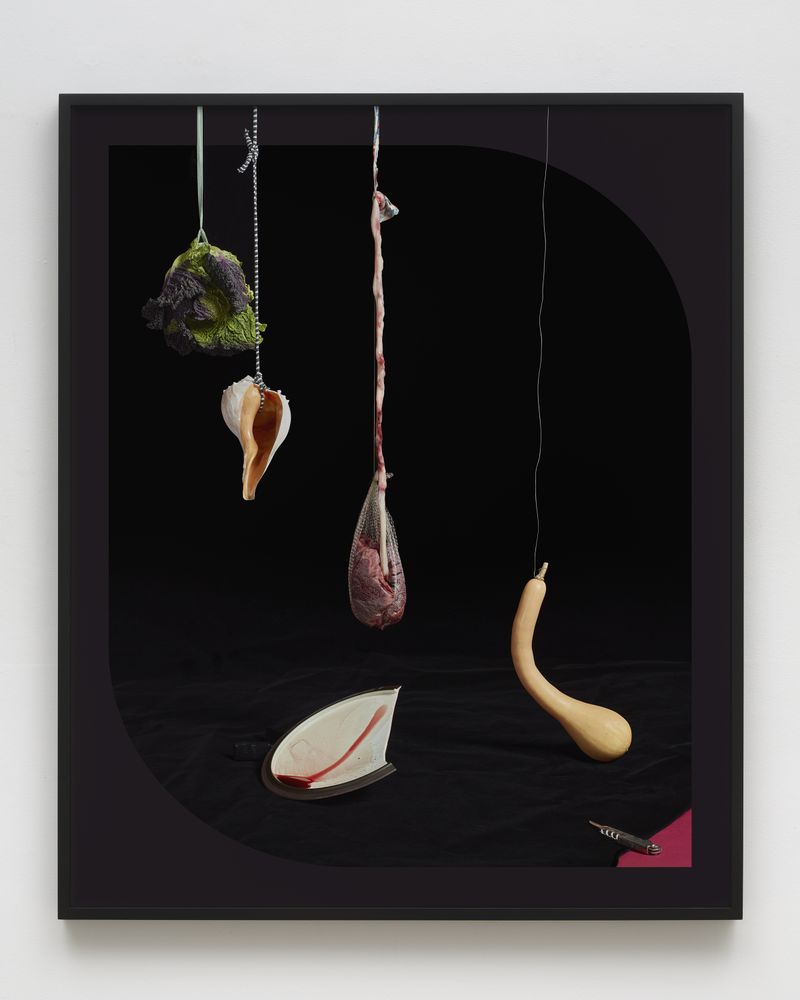 © Heather Rasmussen - Hanging placenta with lettuce, shell and squash, 2022 , pigment print, 41 x 51 x 1.5 inches framed