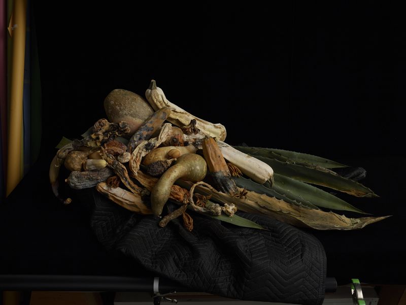 © Heather Rasmussen - Untitled (Pile of old squash on agave spines, Still Life #1), 2020, pigment print, 44 x 60 x 1.5 inches