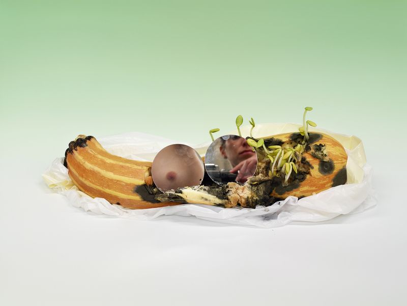 © Heather Rasmussen - Untitled (Sprouting zucchini with mirrored breast and camera), 2016, pigment print, 30x40 inches.