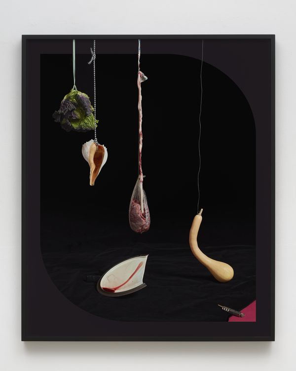 © Heather Rasmussen - Hanging placenta with lettuce, shell and squash, 2022 , pigment print, 41 x 51 x 1.5 inches framed.