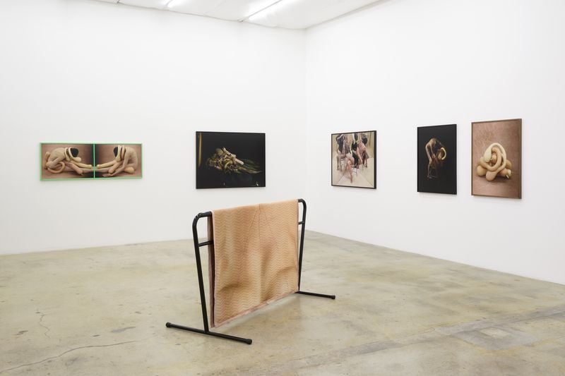 © Heather Rasmussen - Installation View of "animal, vegetable, mineral", at The Pit, Los Angeles, September 4 - October 16, 2021