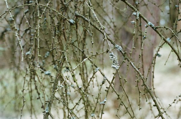 © Franziska Nagelova - //