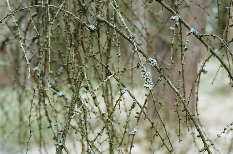 © Franziska Nagelova - //