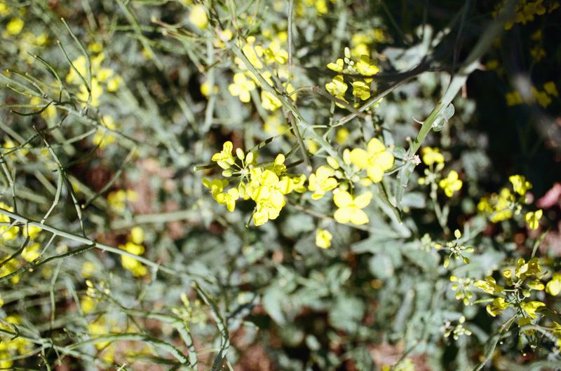 © Franziska Nagelova - //