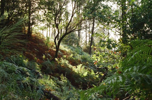 © Franziska Nagelova - Image from the Where Nature Heals photography project