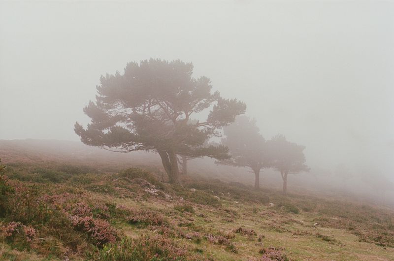 © Franziska Nagelova - Image from the Where Nature Heals photography project