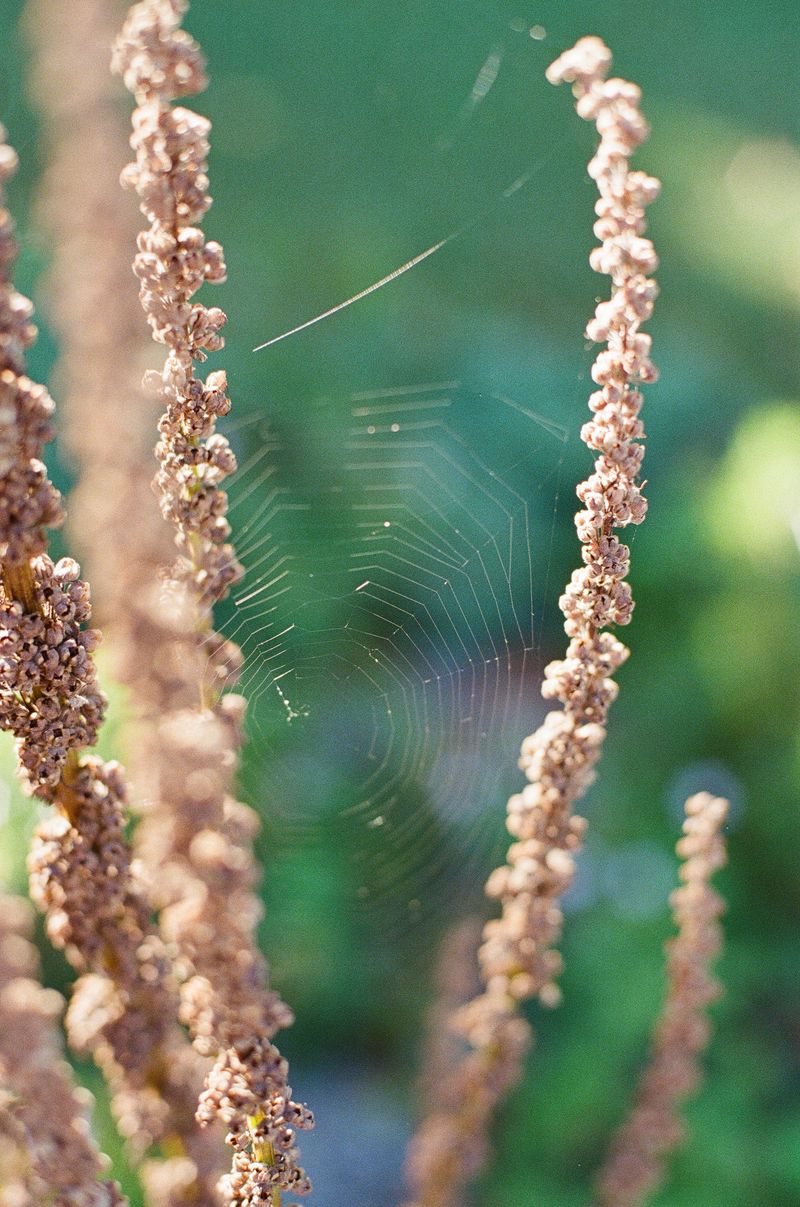 © Franziska Nagelova - Image from the Where Nature Heals photography project