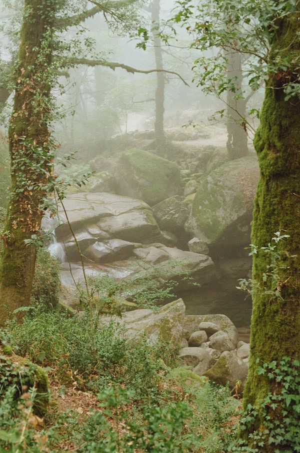 © Franziska Nagelova - Image from the Where Nature Heals photography project