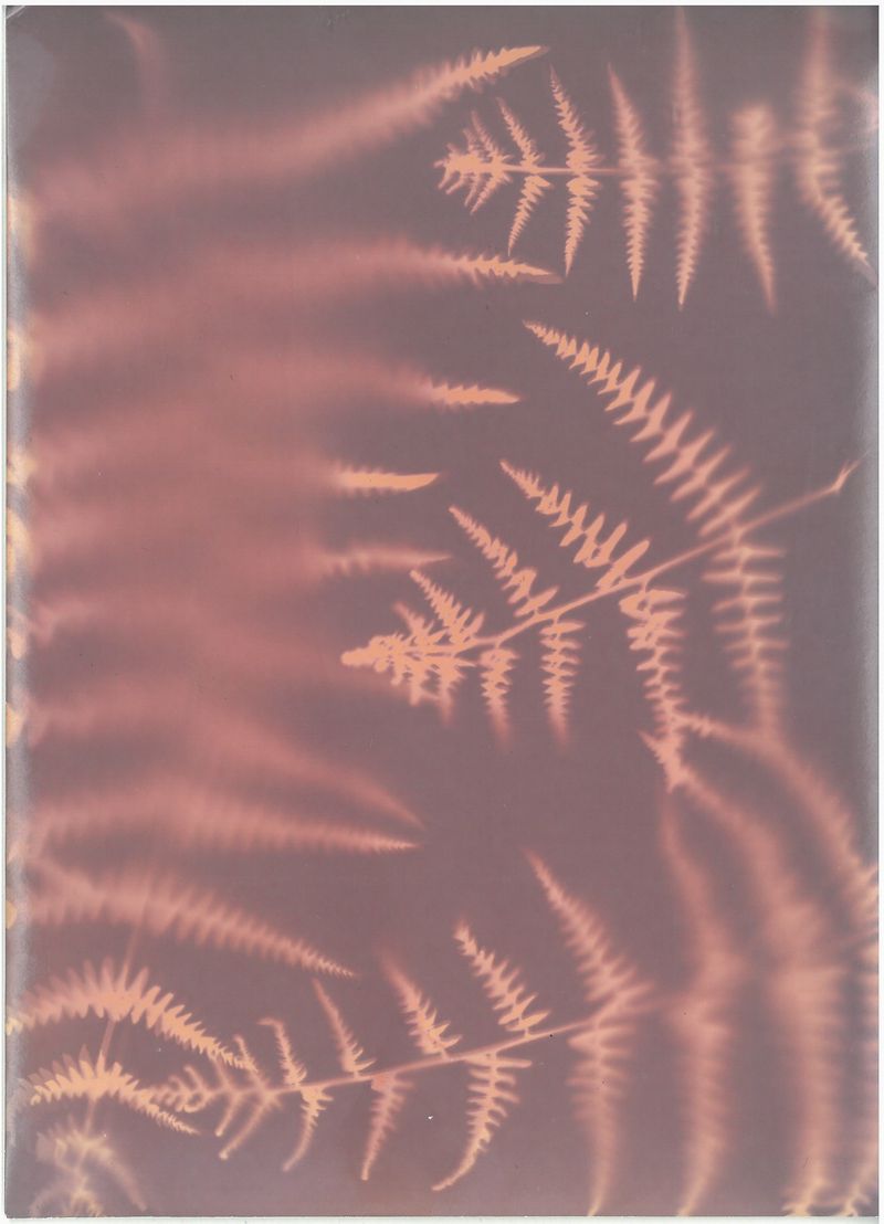 © Franziska Nagelova - Image from the Where Nature Heals photography project