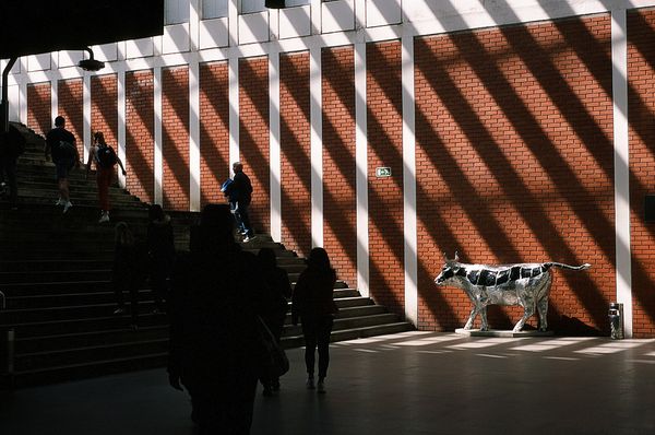 © Franziska Nagelova - Image from the The Light -ness of Crossing photography project