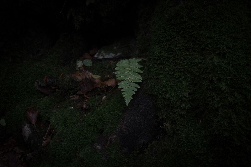 © Enrico Quattrini - Image from the Torn lives photography project