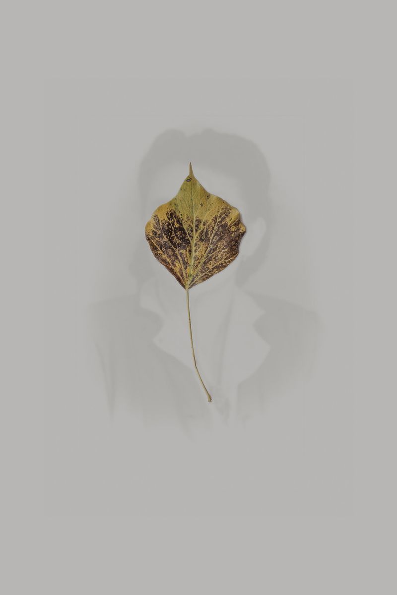 © Enrico Quattrini - Image from the Torn lives photography project