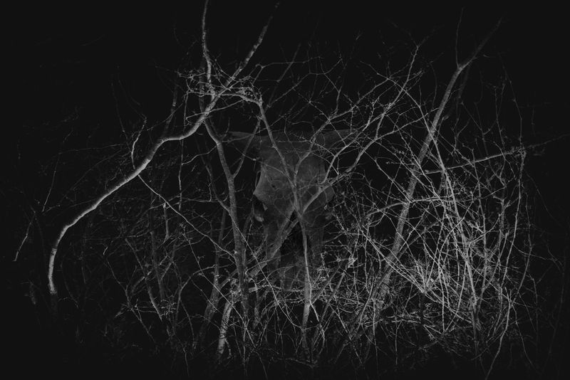 © Enrico Quattrini - Image from the Torn lives photography project