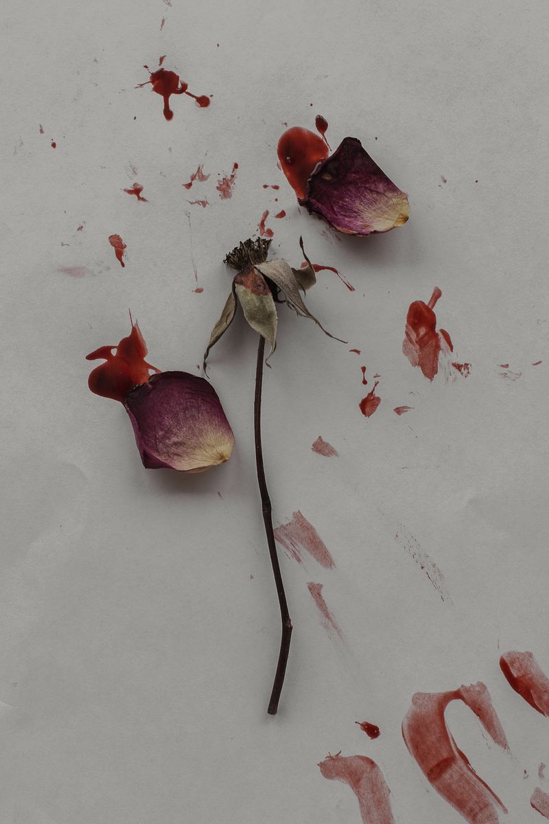 © Enrico Quattrini - Image from the Torn lives photography project