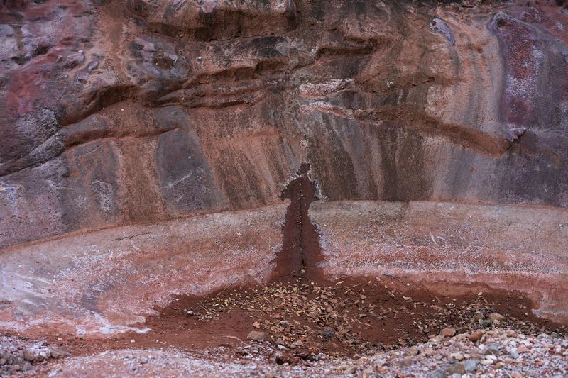 © Serge Levy - Kanab Creek Wilderness, AZ. 2019. (Size: 17" x 22")