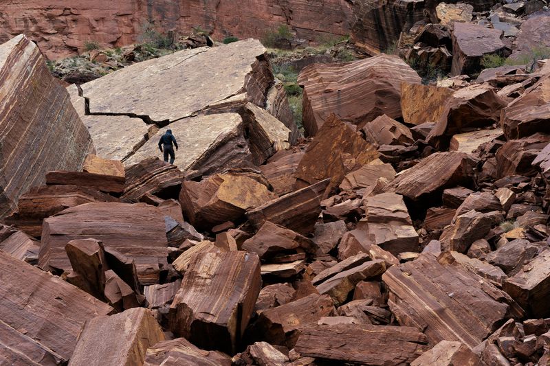 © Serge Levy - Clear Creek, Grand Canyon, AZ. 2019. (Size: 17" x 22")