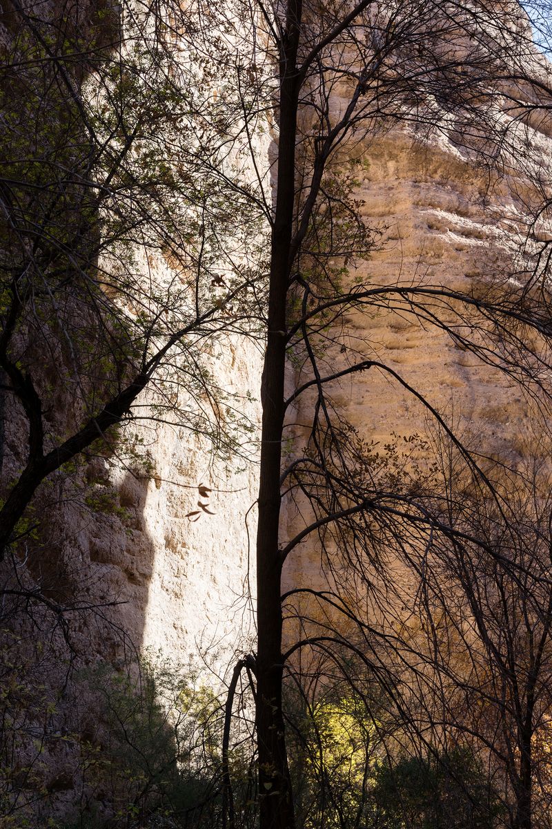 © Serge Levy - Deer Creek/Hell Hole Canyon, AZ. 2018. (Size: 22" x 17")