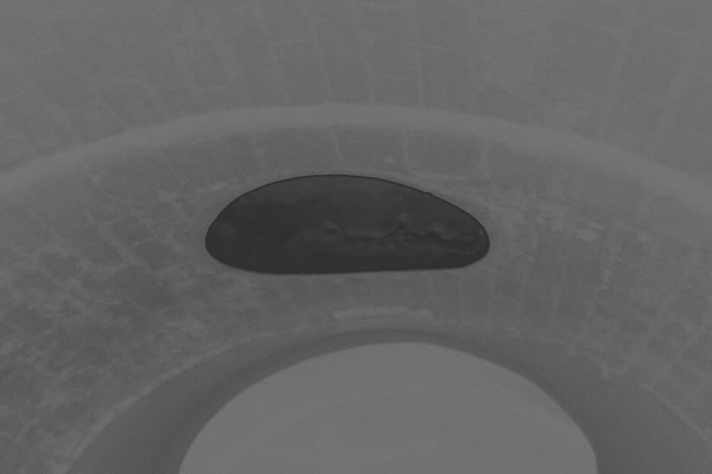 © Nanouk Prins - Image from the Empty Forest photography project