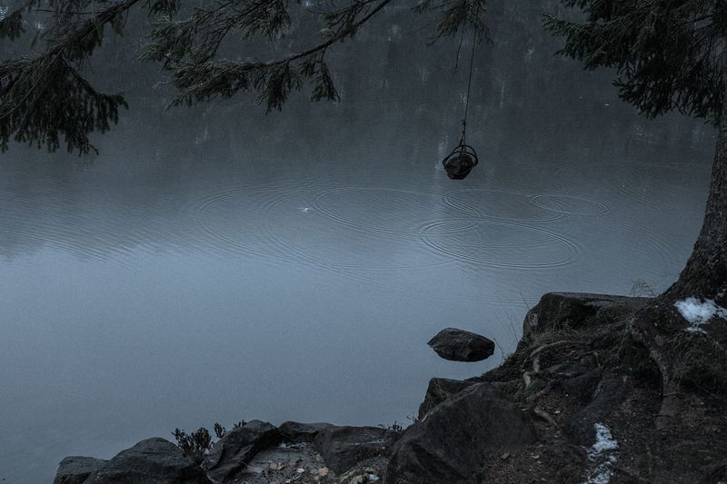 © Nanouk Prins - Image from the Empty Forest photography project